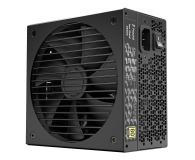 FRACTAL DESIGN Ion Gold 750W 80+ PLUS GOLD Full modular czarny FD-P-IA2G-750 - 642796 - zdjęcie 1